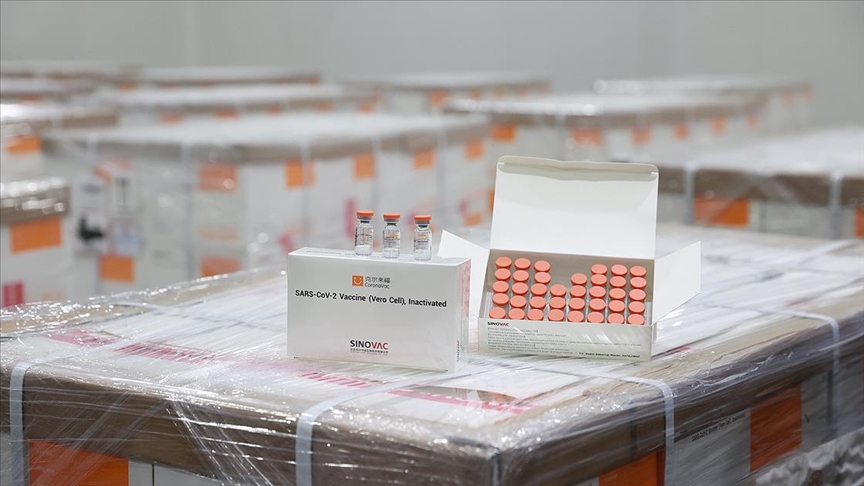 Dërgesa e dytë prej 6.5 milionë dozave të vaksinës antiCovid nesër mbërrin në Turqi