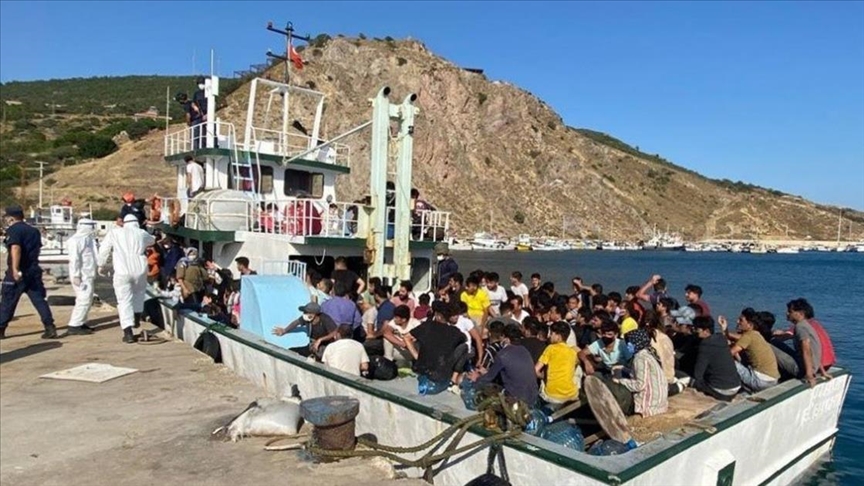 土耳其在恰纳卡莱抓获231名非正规移民