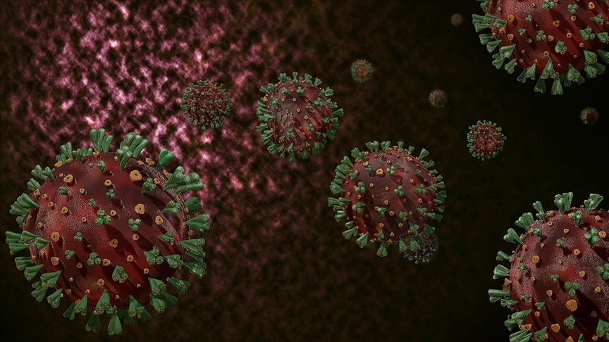 Fələstində ilk dəfə yeni növ koronavirusun "Delta" variantı aşkarlanıb
