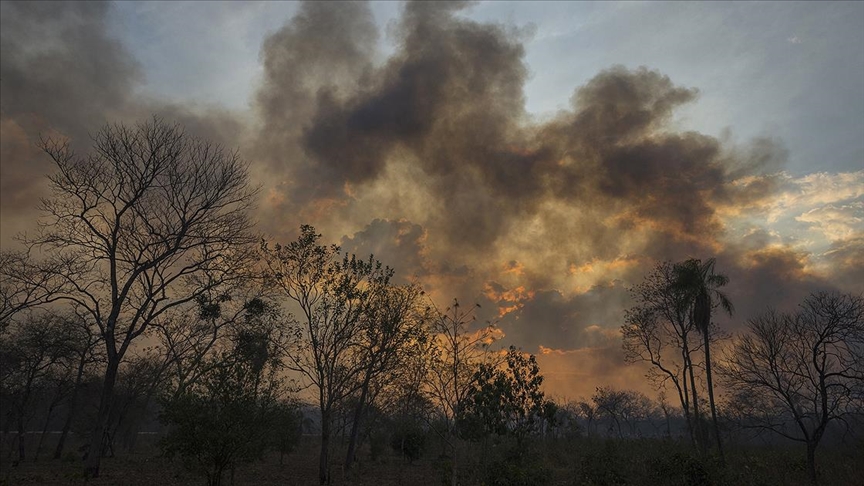 Incendii de vegetație în Argentina