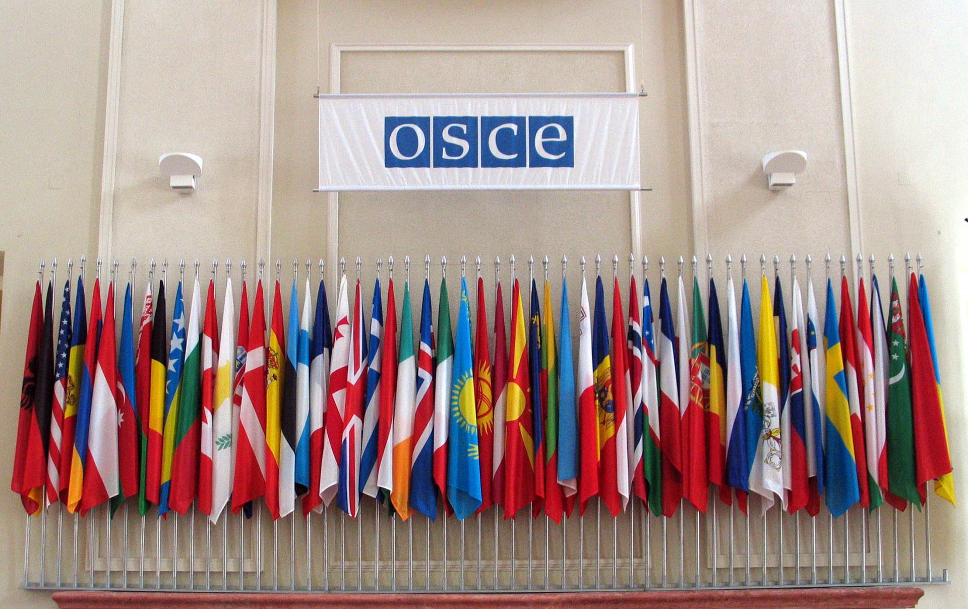 OSCE pozdravlja usvajanje Strategije za kontrolu malog oružja i lakog naoružanja BiH
