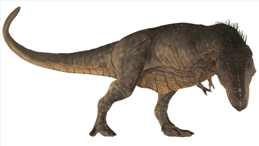 Dinosaurio T-rex caminaban más lento de lo que se pensaba
