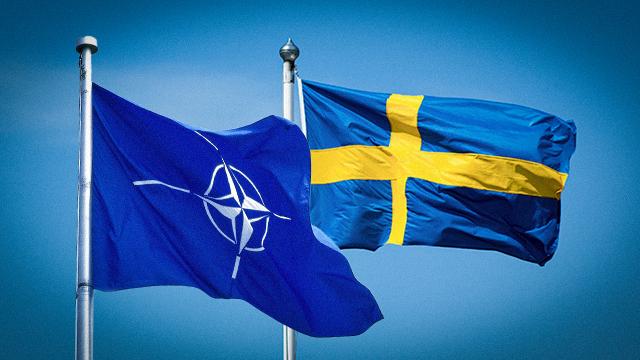 Svezia ha deciso di fare domanda per l'adesione alla NATO