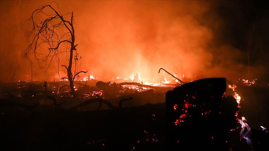 日本栃木县大火烧毁106公顷森林