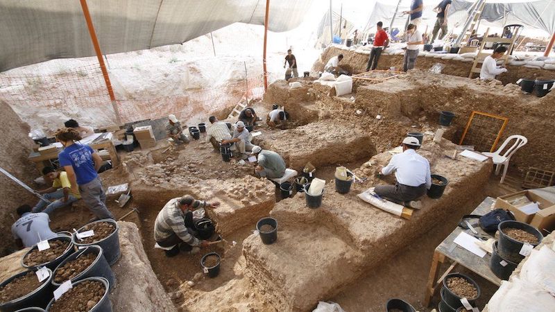 以色列发现新古人类物种