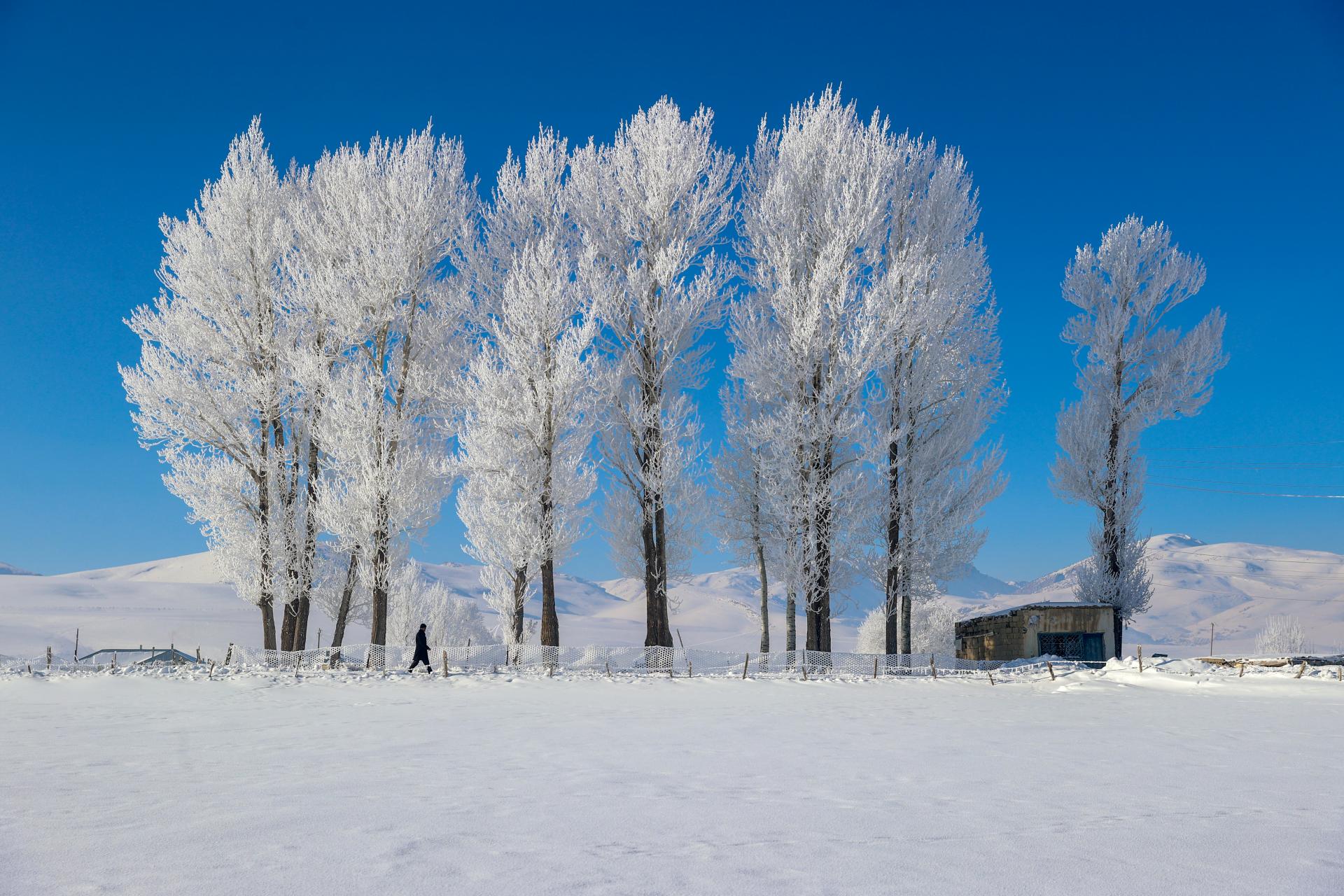 Turska: Snijeg i inje stvorili prekrasan zimski krajolik u Vanu (FOTO)