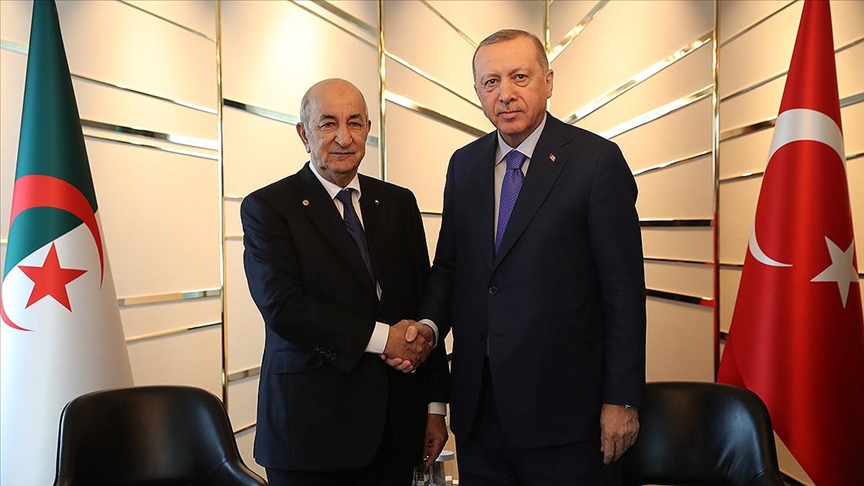 Tebboune en Ankara: Turquía y Argelia buscan desarrollar la cooperación económica
