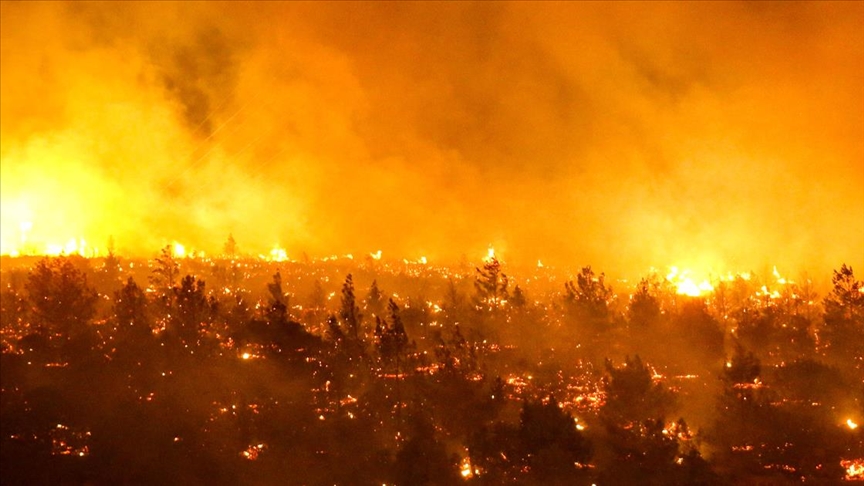 چلی میں جنگلات کی آگ سے ہلاکتوں کی تعداد 13 ہوگئی