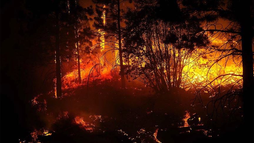 از آمریکا و کانادا گرفته تا ایتالیا، اسپانیا، یونان، رومانی و روسیه گرفتار آتش‌سوزی‌های جنگلی هستند