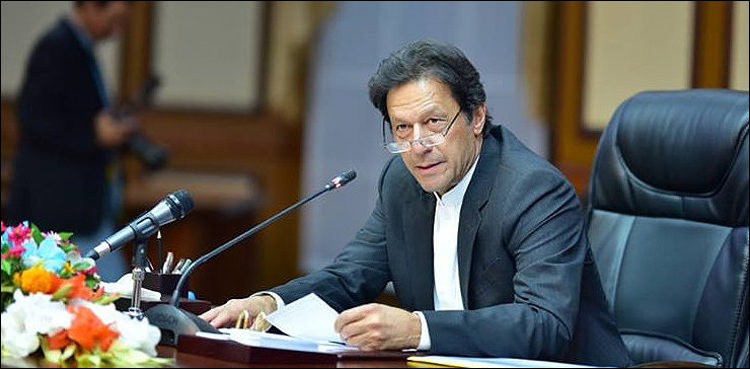سینیٹ انتخابات 2021 میں امیدواروں کی کامیابی کے لیے وزیر اعظم عمران خان متحرک