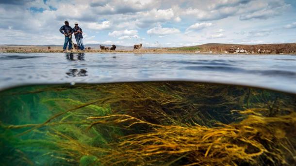 TAPŞIRULAR 28.04.2019 13.00