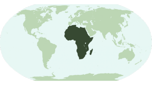 Nove nações africanas correm um risco extremo devido às mudanças climáticas