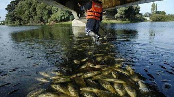 ÚØ±Ø®Ù تخÙ
âØ±ÛØ²Û Ù
اÙÛâÙØ§ در Ø±ÙØ¯Ø®Ø§ÙÙâÙØ§ ÙÙ
از سÛ٠در اÙ
ا٠ÙÙ
Ø§ÙØ¯