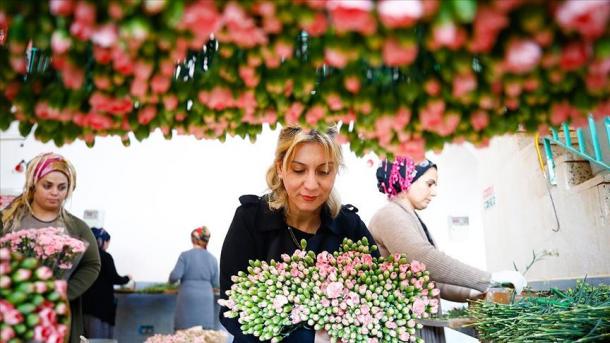 Turquia exporta 110 milhÃµes de dÃ³lares em flores para 83 paÃ­ses