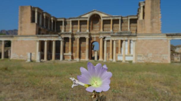 Antik Sardes qalası: berençe täñkälär häm täwge bank | TRT  Tatarça