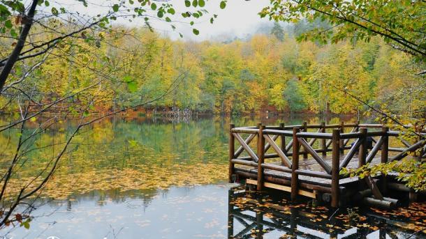 park lejtőn horog