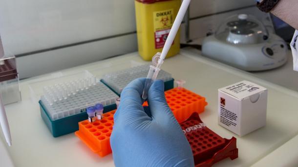 Haaretz: Centro de investigação israelita anuncia para breve uma vacina contra o COVID-19