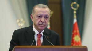 ولسمشر اردوغان : تورکیه په سیمه کې د سولې او ثبات څلی دی