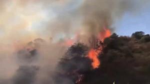 ارامنه با آتش زدن خانه‌ها و مناطق جنگلی لاچین را ترک می‌کنند