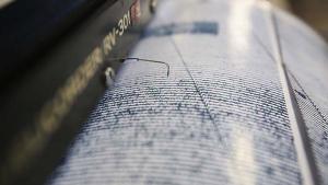 Земетресение с магнитуд 4,8 разлюля Палестина