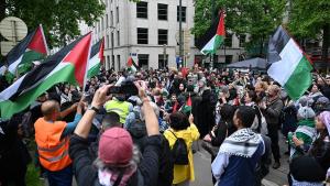世界各地支持巴勒斯坦的示威活动如雪崩般增多