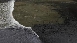 آلودگی نفتی ناشی از نشت یکی از سکوهای نفتی در سواحل جنوبی ایران