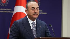 მინისტრი ჩავუშოღლუ გვინეელ კოლეგას შეხვდა