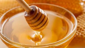 صادرات قابل توجه عسل تورکیه