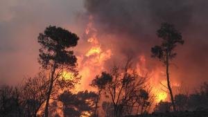 España, en alerta por riesgo de incendios