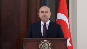土耳其外长:叙达布克城镇完全被叙利亚部队控制