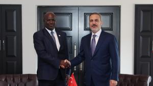 Тюркийе ще продължи да разгръща сътрудничеството си с африканските страни...