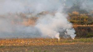 Ysraýylyň Liwana ak fosfor bombasy bilen hüjüm gurandygy öňe sürüldi