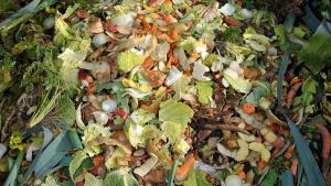 Desperdicio de alimentos: el 17 por ciento de los alimentos termina en la basura