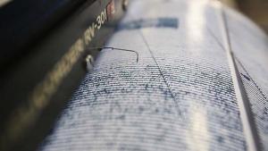 زلزله‌ای به شدت 4.3 ریشتر در شهر فیض‌آباد بدخشان واقع درشمال شرق افغانستان به وقوع پیوست