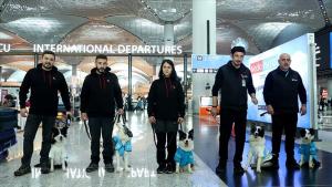 "Cães de Terapia" começaram a trabalhar no Aeroporto de Istambul