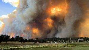 امریکہ۔ نیو میکسیکو کے جنگلات میں آتشزدگی کے بعد ہنگامی حالت کا اعلان