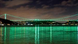 I ponti di Istanbul si illumina di verde per la Giornata intonazione della scoliosi