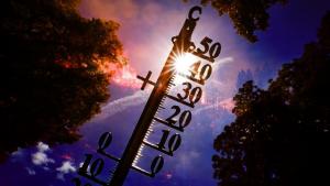 "عالمی درجہ حرارت میں اضافہ "تنظیم نے رپورٹ جاری کر دی