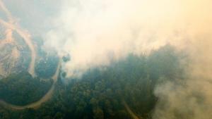 آتش سوز‌ی‌های جنگلی در آرژانتین