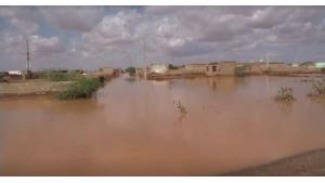 سوڈان  میں بارشوں اور سیلاب سے 75 افراد ہلاک، زرعی اراضی تباہ