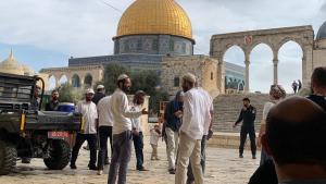 یورش شهرک‌نشینان یهودی در ایام عید سوکوت به مسجد الاقصی ادامه دارد