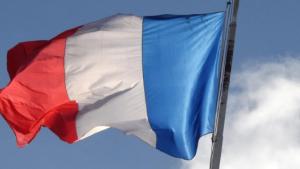 Францияда мөөнөтүнөн мурда болуучу парламенттик шайлоо жарлыгы Конституциялык Сотко алып барылды