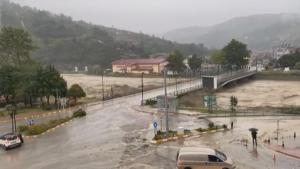 Egyre nő a törökországi árvizek áldozatainak száma