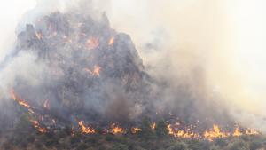 آتش‌‌سوزی‌های جنگلی در جزیره سیسیل ایتالیا