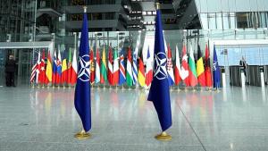 NATO belän Ukraina arasında texnologiya xezmättäşlege