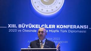 土耳其外长在大使会议上发言