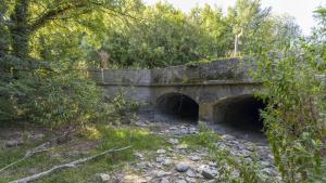 La fuente del río Támesis en Inglaterra se está secando