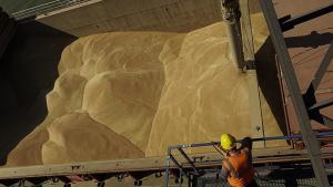 Rusia a livrat gratuit 200 de mii de tone de cereale unor țări din Africa