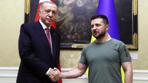 უკრაინის პრეზიდენტის ზელენსკის მილოცვა პრეზიდენტ ერდოღანს