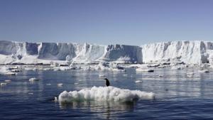 Un gran iceberg se desprende de la Antártida